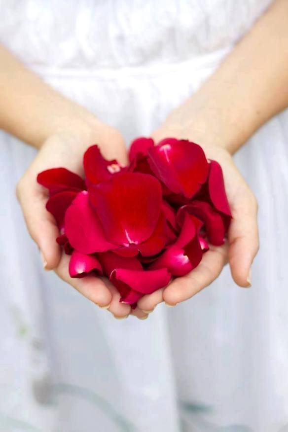 heart-petals-hands
